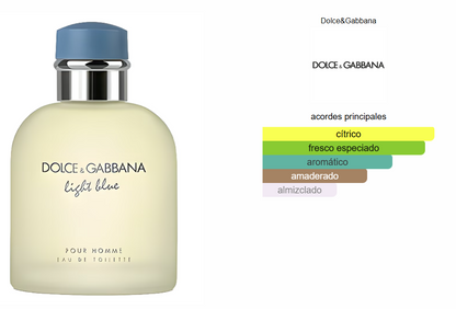 Dolce & Gabanna Light Blue